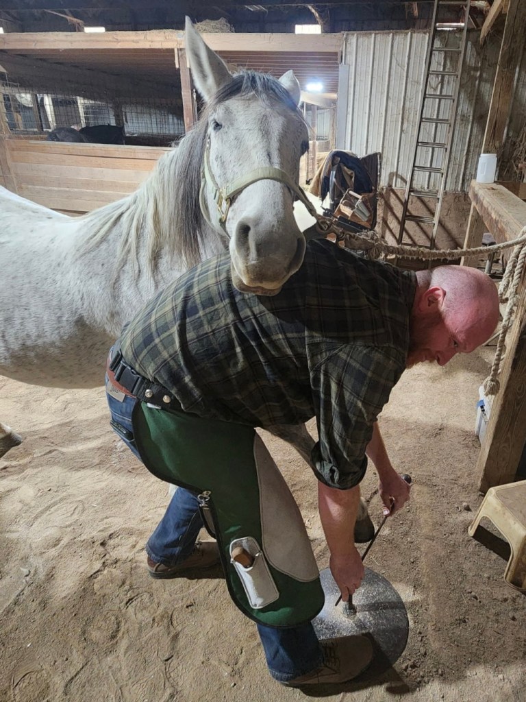 trimming a blind horse