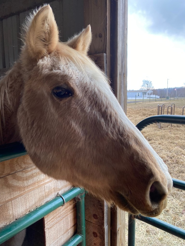 look at this old girls